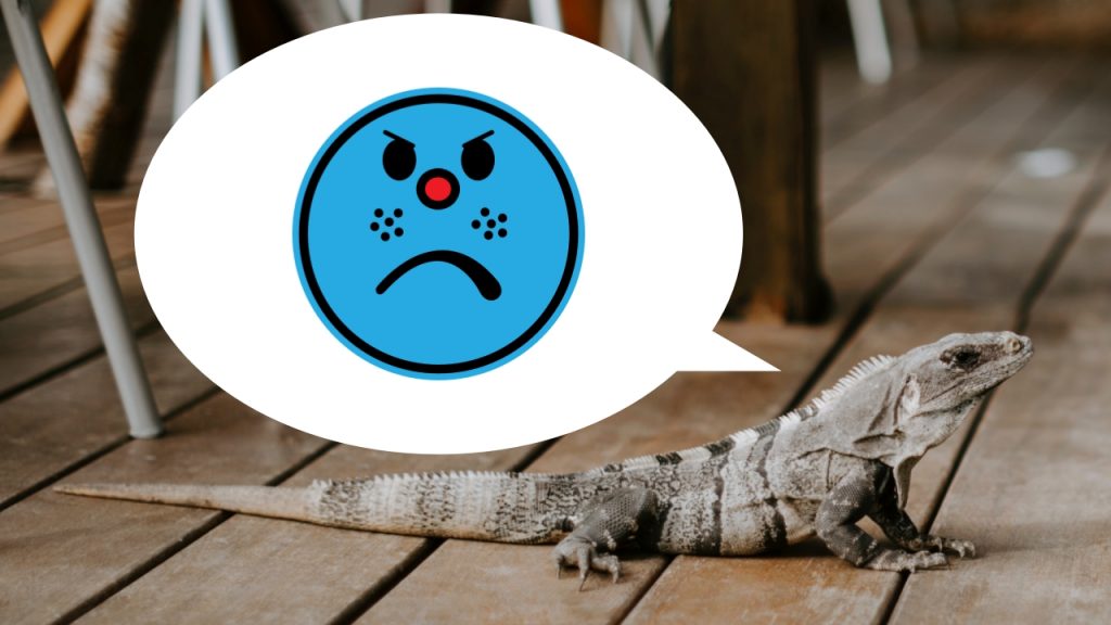 わたし、怒ってるんですけど！