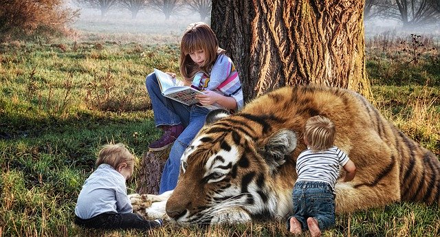 Child Tiger Children Book Read  - Dieterich01 / Pixabay